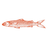 SEASALT logo