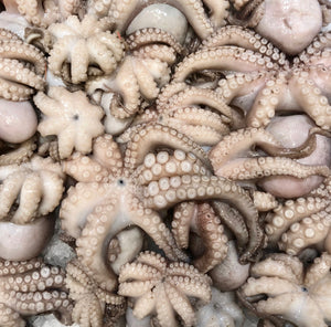 MEDITERRANEAN BABY OCTOPUS (RAW)