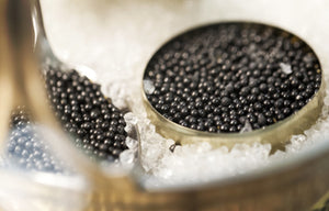 RUSSIAN OSSETRA CAVIAR