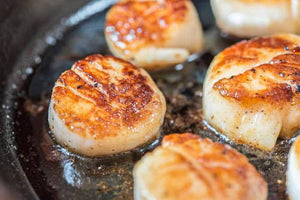 JAPANESE SEA SCALLOPS (JUMBO)