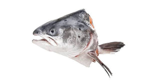 NORWEGIAN SALMON HEADS -