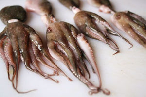 BABY OCTOPUS SALAD