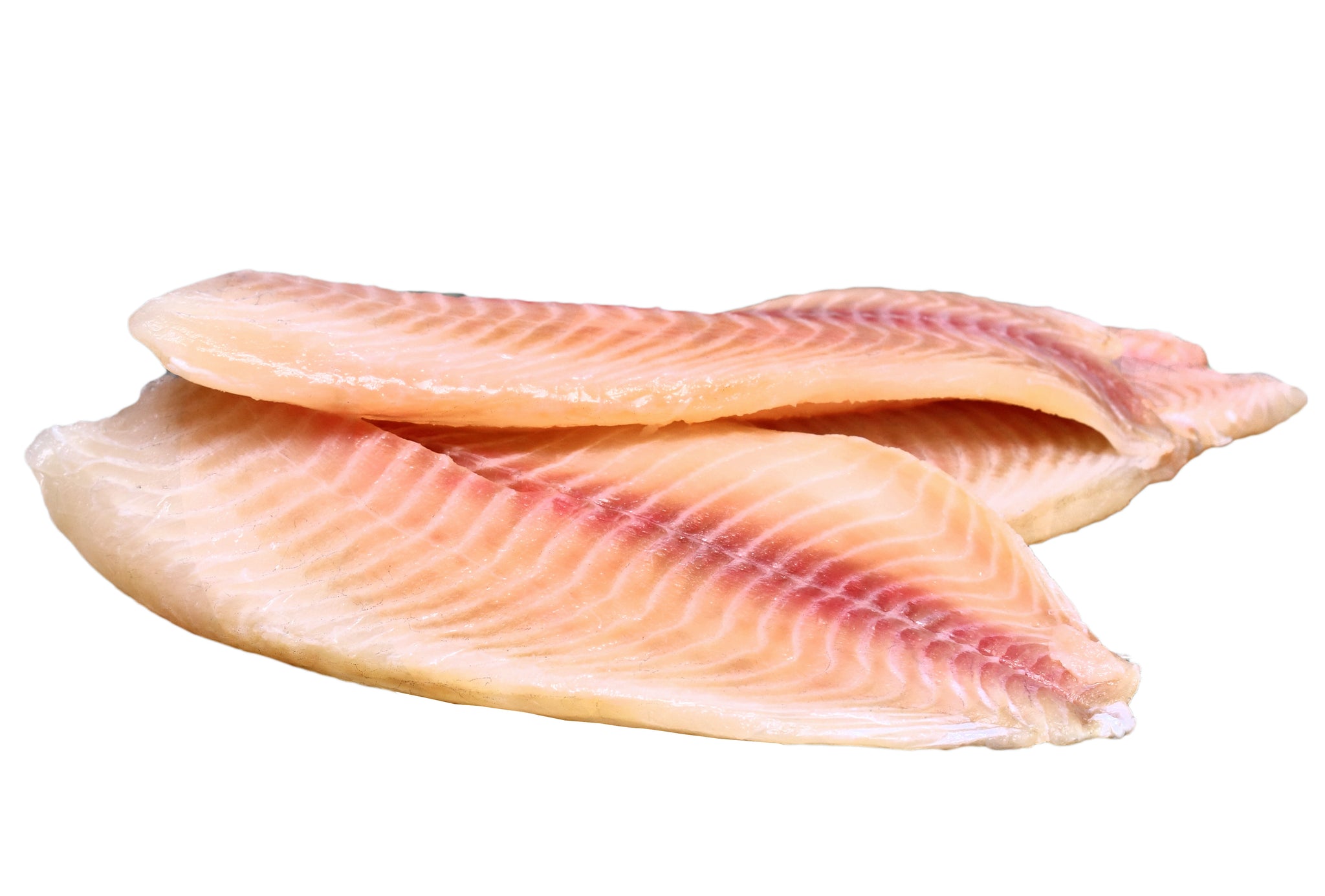 Fillets – SEASALT
